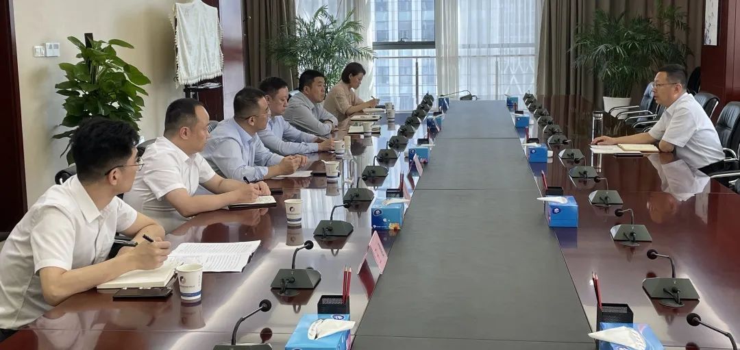 公司黨委書記、董事長杜巖岫帶隊赴合肥考察學習